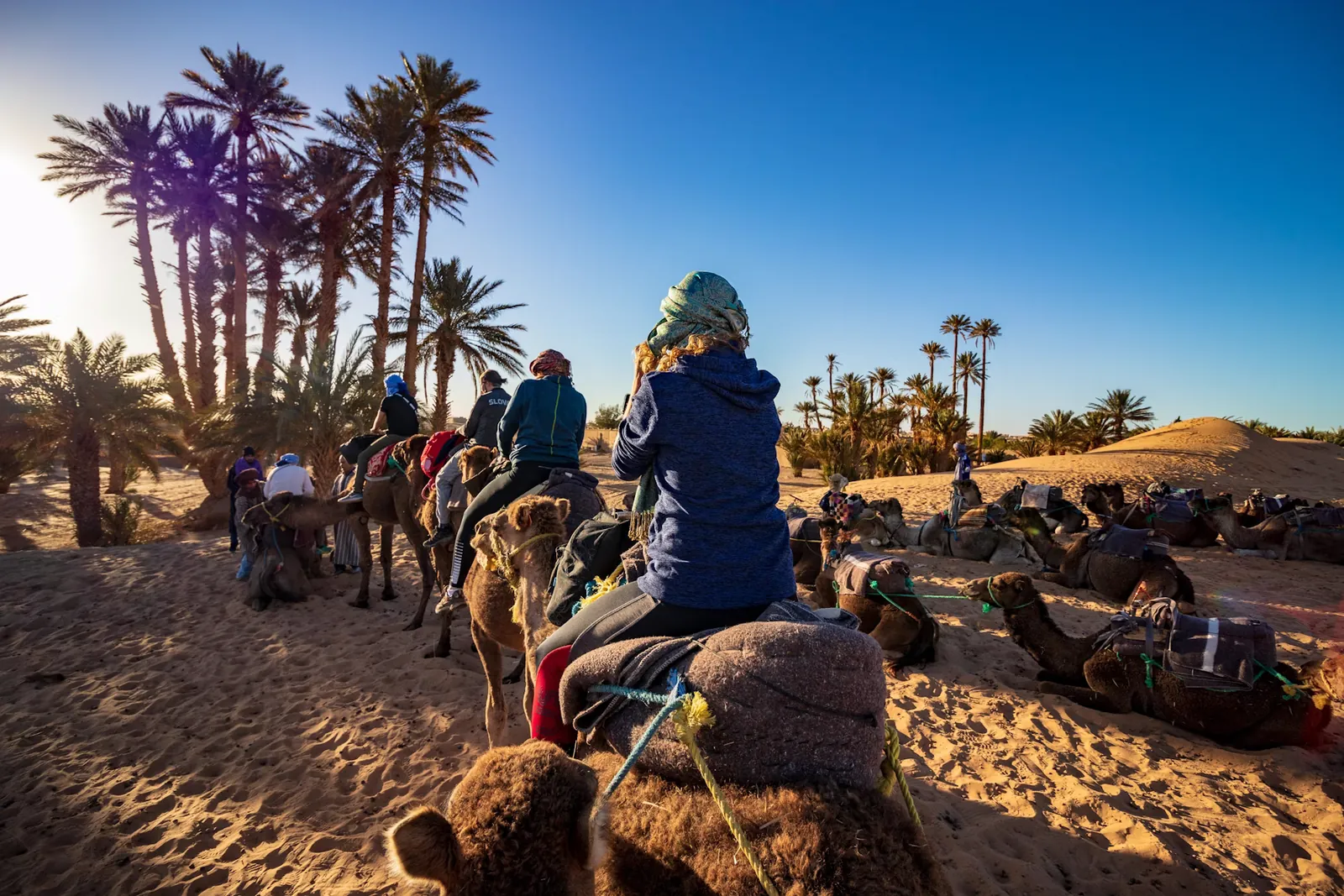 Viaggiatori sui cammelli al tramonto in un'oasi di palme in Marocco