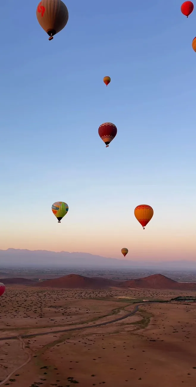 Hot-air balloon over La Palmeraie at sunrise