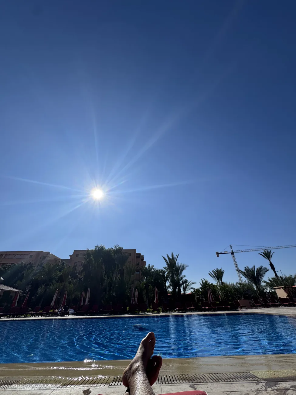 Pool day in Marrakech