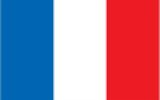  French flag